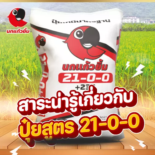 ปุ๋ยสูตร 21-0-0 กับบทบาทสำคัญต่อการเจริญเติบโตของพืช