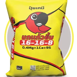 ปุ๋ยสูตร 16-16-8